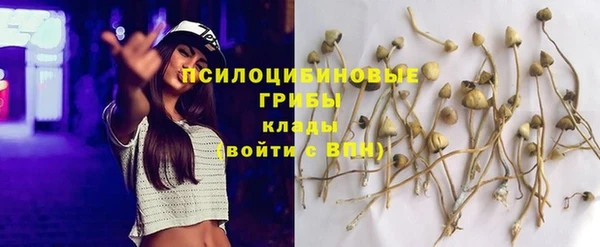 2c-b Арсеньев