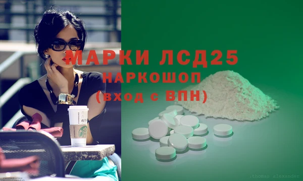 индика Аркадак
