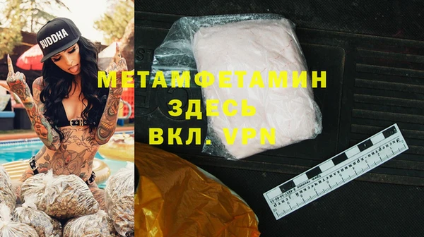 индика Аркадак