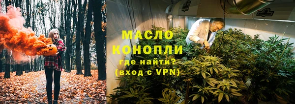 индика Аркадак