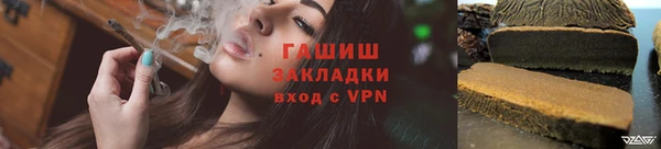 индика Аркадак