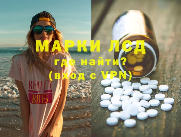 индика Аркадак