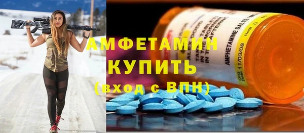индика Аркадак
