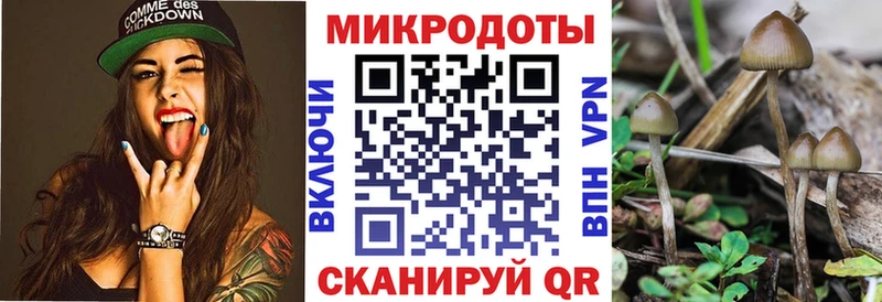 Псилоцибиновые грибы Psilocybine cubensis  Усть-Лабинск 
