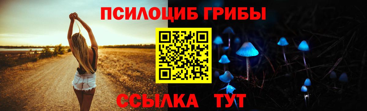 Усть-Лабинск  Псилоцибиновые грибы Cubensis  Вход с VPN 